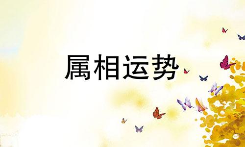 属龙摩羯座的性格