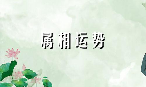 属蛇的今年多大年龄 属蛇的今年多大年龄2023