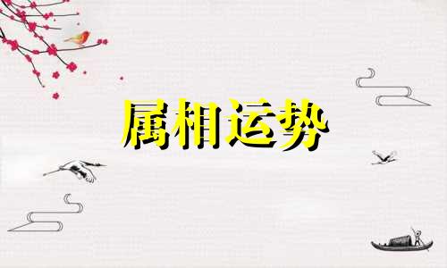 1989年属什么生肖今年多少岁2023 1989年属什么生肖2023年多少岁