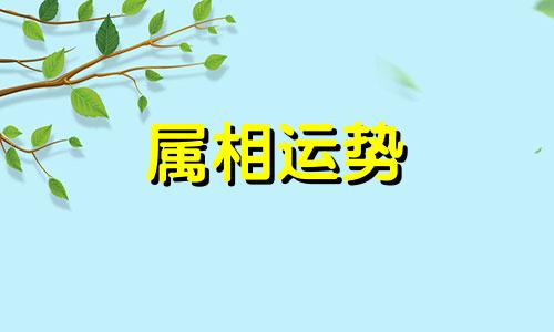 1977年属什么生肖今年多少岁2023 1977年属什么生肖2023年多少岁