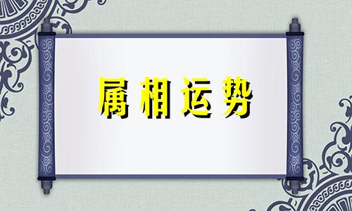 生肖马一生的财运贵人 属马的财运贵人是哪个生肖