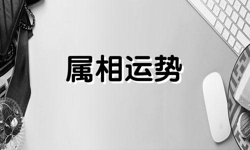 属马的出生年份表及命运 属马的今年多少岁2023年