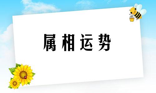 属马找属什么结婚最好 属马和其他属相的婚配指数