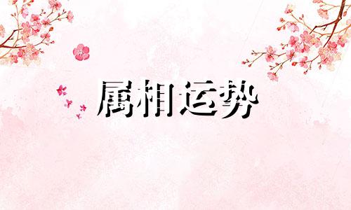 属马的今年运气好不好 属马的今年运气怎么样财运怎么样