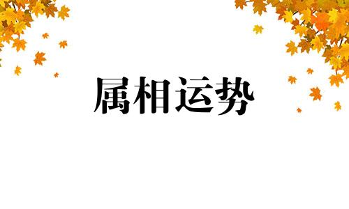 1944年属什么生肖五行属什么 1944年属什么生肖属相什么命