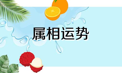 1956年属什么生肖今年多少岁2023 1956年属什么生肖2023年多少岁