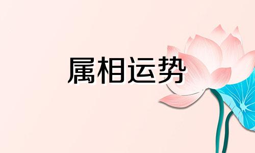 女属猴和男属狗的相配吗婚姻好吗 属狗男和属猴女情感婚姻状况