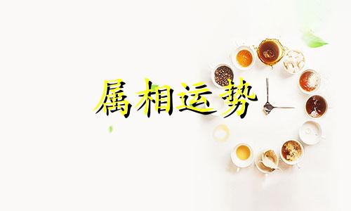 属鸡人2024年上半年运势 属鸡人2024年上半年运势每月运程详解