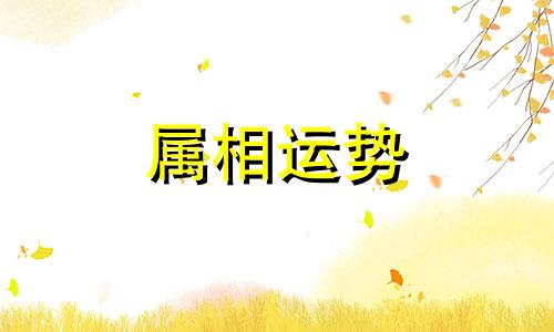 1981年属什么生肖今年多少岁2023 1981年属什么生肖2023年多少岁