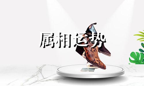 生肖狗今年几岁 生肖狗今年几岁2023