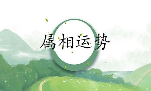 属狗的年龄 属狗多少岁