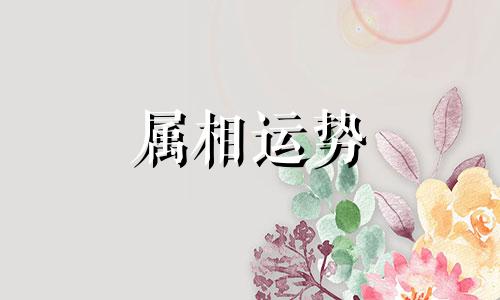 生肖狗几月份出生的人最好命 属狗的几月出生命最好