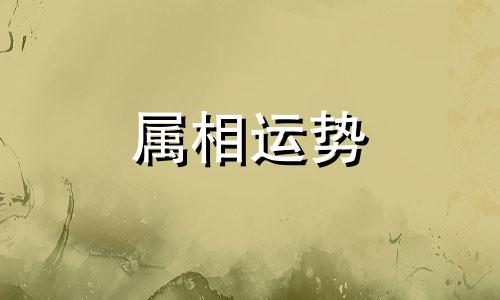 2023年属猪是什么命 19年属猪的是什么命