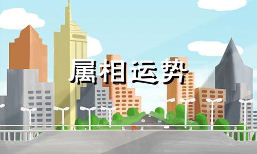 属猪今年多少岁数2023年 属猪人2023年全年运势运程女性