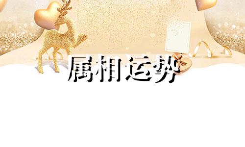 1985年出生的属牛人2023年运势及运程如何 1985年属牛人在2023年每月运势