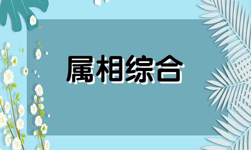 属牛男最佳婚配前十名属相