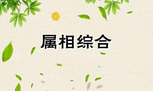 70年出生的属狗人2024整年运势如何 70年属狗202o年运势及运程每月运程