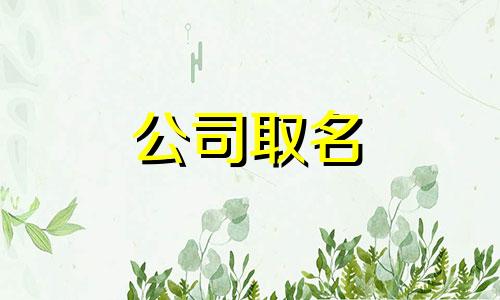 国际工程咨询公司名字带望字