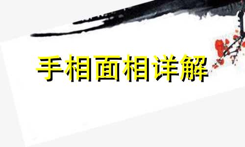 测你2024年2月会不会脱单有望