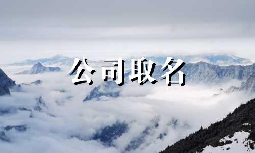 带三字起公司名字大全 