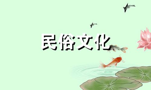 故意把貔貅扔了怎么办 不小心把貔貅弄丢了