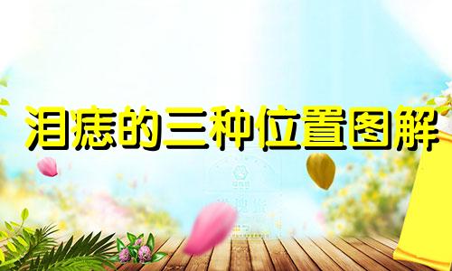 泪痣的三种位置图解 泪痣的三种位置图解 眼睑