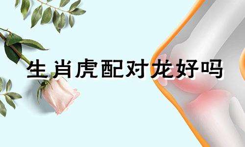 生肖虎配对龙好吗 生肖虎配生肖龙如何