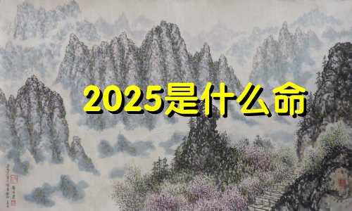 2025是什么命