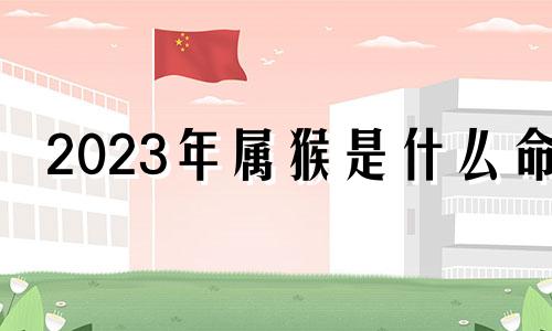 2023年属猴是什么命 2023年属猴是什么命女孩