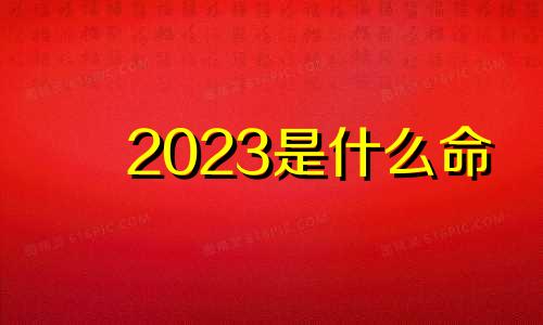 2023是什么命 2023虎是什么命