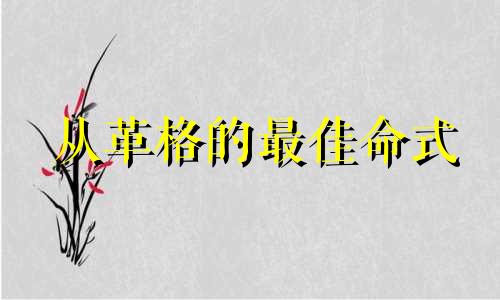 从革格的最佳命式