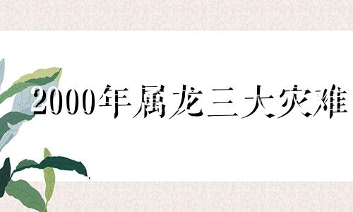 2000年属龙三大灾难