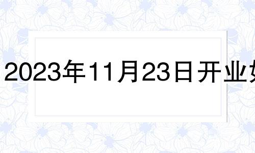 2023年11月23日开业好吗