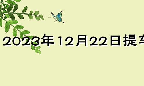 2023年12月22日提车好吗