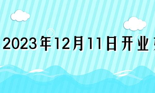 2023年12月11日开业好吗