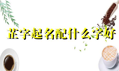 芷字起名配什么字好 芷字取名字