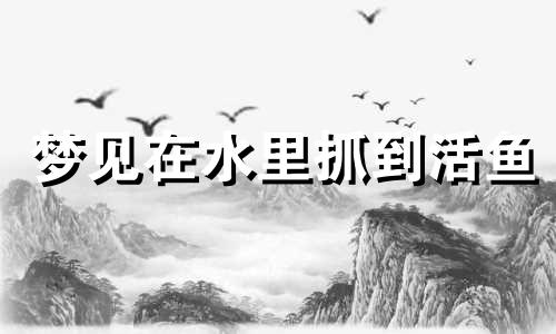 梦见在水里抓到活鱼 梦见在水里抓到活鱼和螃蟹