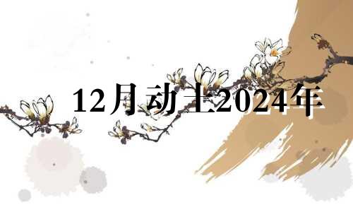 12月动土2024年