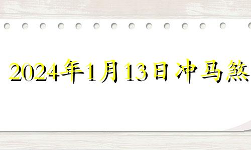 2024年1月13日冲马煞南