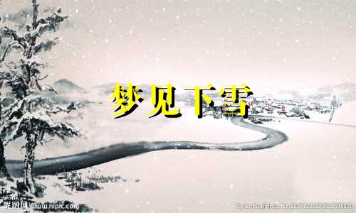 梦见下雪 梦见下雪花了是什么预兆