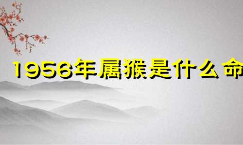 1956年属猴是什么命格 1956年属猴人什么命