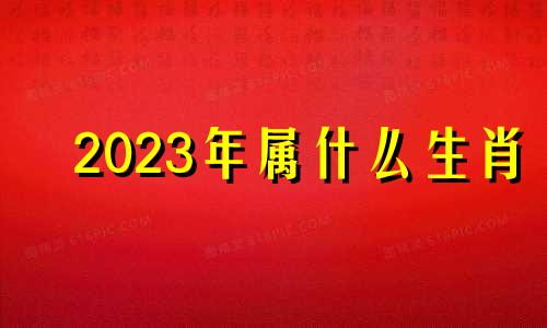 2023年属什么生肖