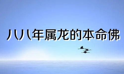 八八年属龙的本命佛 龙的本命佛是什么 龙的本命佛是什么菩萨