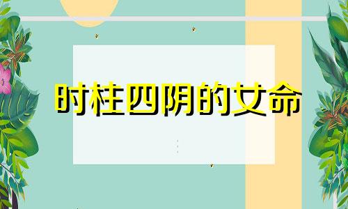 时柱四阴的女命 八字四阴四阳的女人命运